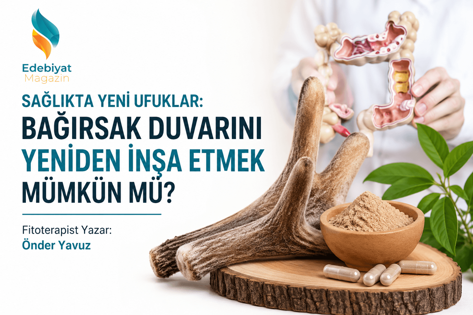 Sağlıkta Yeni Ufuklar: Bağırsak Duvarını Yeniden İnşa Etmek Mümkün mü?