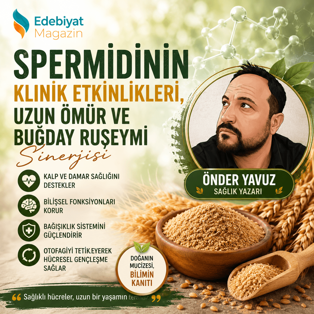 Spermidinin Klinik Etkinlikleri, Uzun Ömür ve Buğday Ruşeymi Sinerjisi