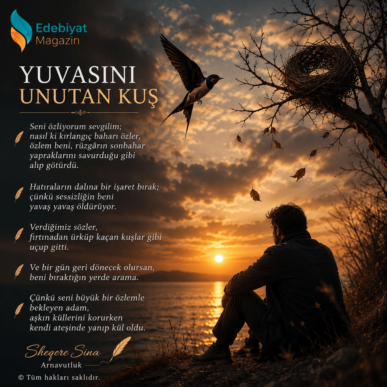 YUVASINI UNUTAN KUŞ