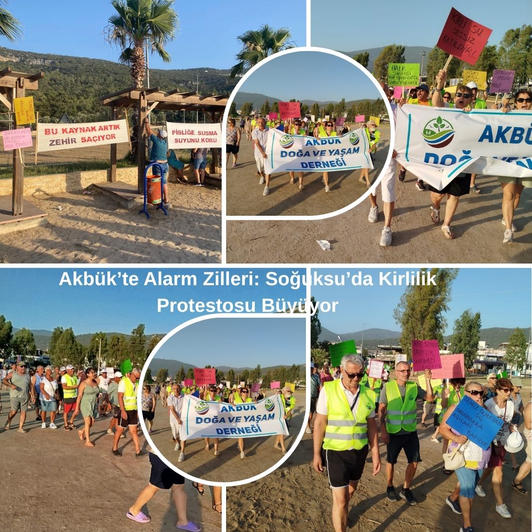 Akbük’te Alarm Zilleri: Soğuksu’da Kirlilik Protestosu Büyüyor