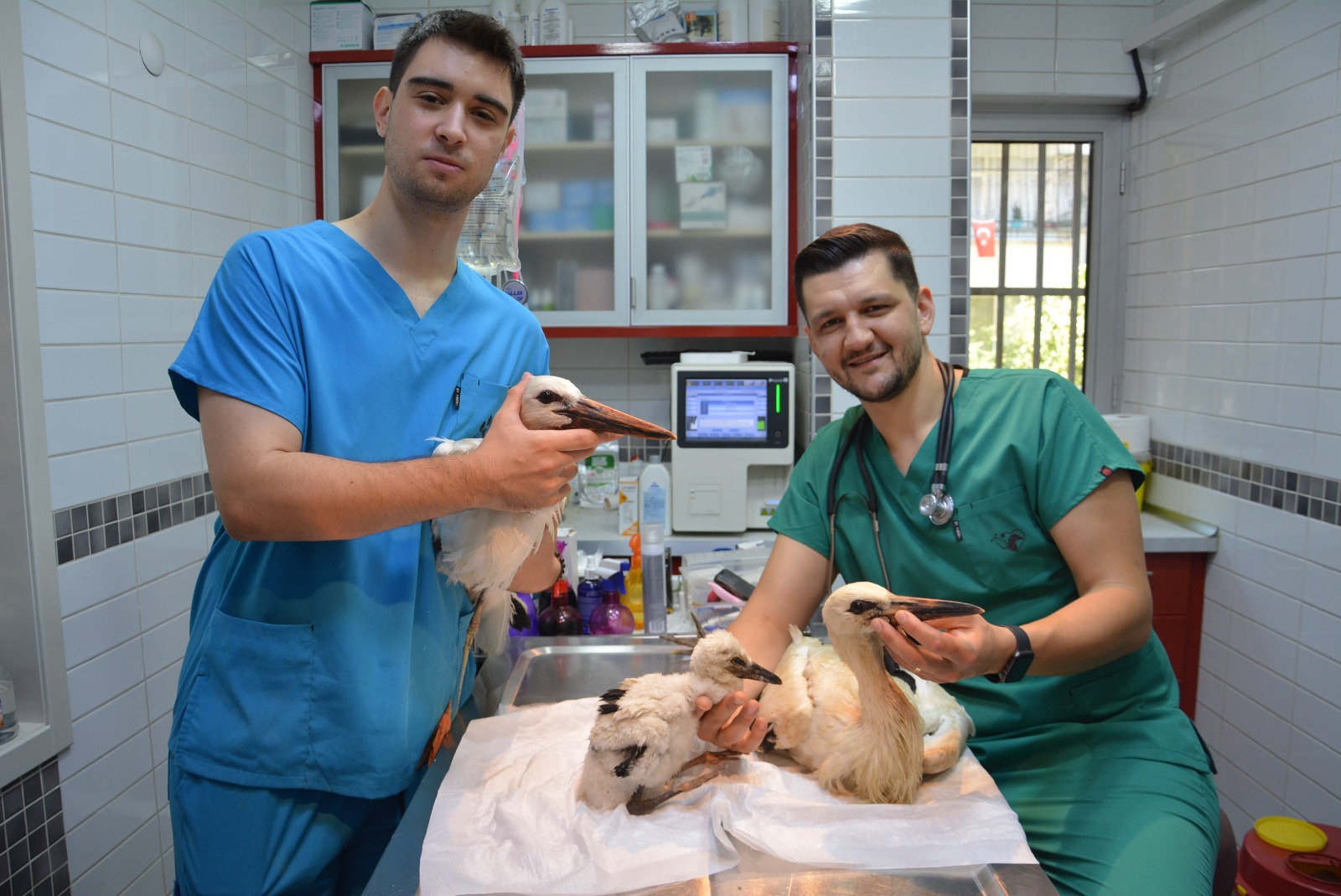Leylekler İçin Umut Var: Yaralı Göçmenler Nazilli’de Şifa Buluyor