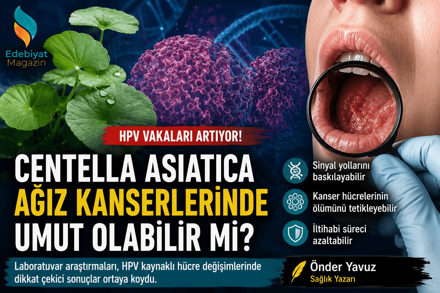 HPV ile İlgili Endişeler Artıyor: Bilim Dünyası Centella Asiatica'yı Araştırıyor
