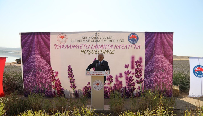 KARAAHMETLİ KÖYÜNDE LAVANTA HASADI: Bahşılı İlçesi Karaahmetli Köyü'nde Lavanta Tarımının Önemi KARAAHMETLİ KÖYÜNDE LAVANTA HASADI: Bahşılı İlçesi Karaahmetli Köyü'nde Lavanta Tarımının Önemi