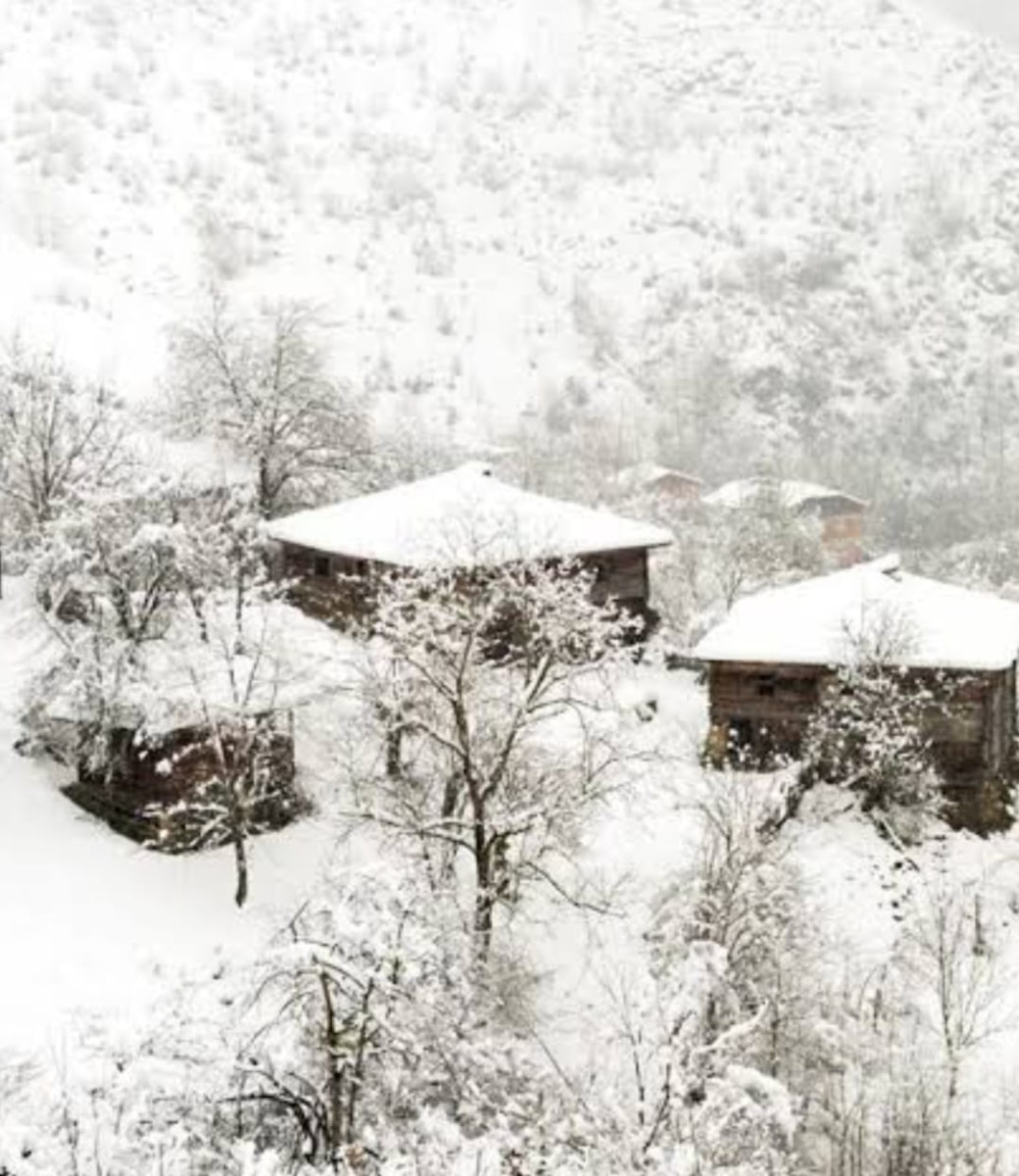 Kaz Dağları, Altınla Değil, Beyazla Dans Ediyor!