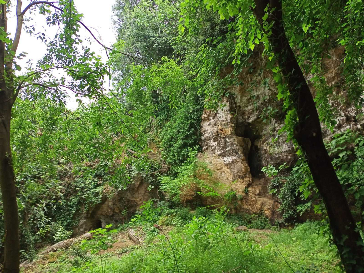 Tarihin Gizemli Köşesi: Yarasa Mağarası Turizme Kazandırılmayı Bekliyor